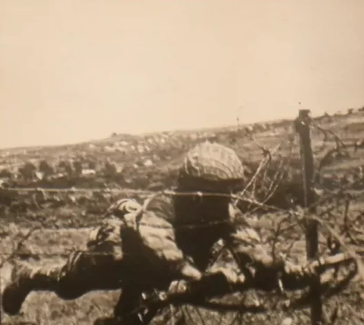 לשכב על הגדר - תמונה